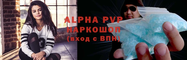 apvp Каменка