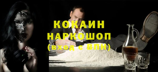apvp Каменка