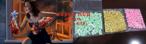 apvp Каменка