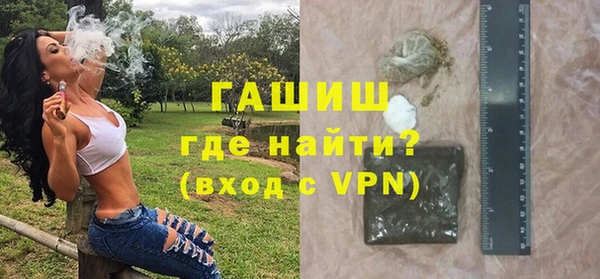 apvp Каменка