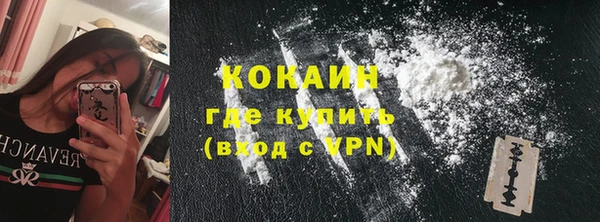 apvp Каменка