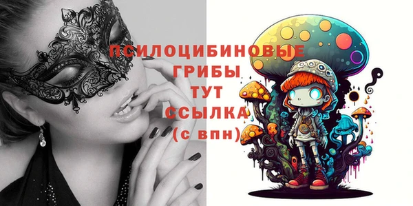 apvp Каменка