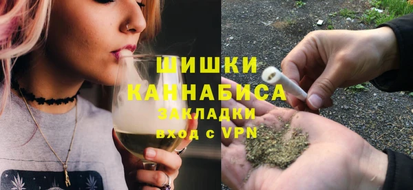 apvp Каменка