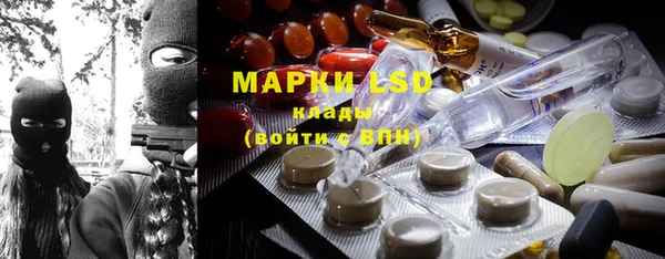 apvp Каменка