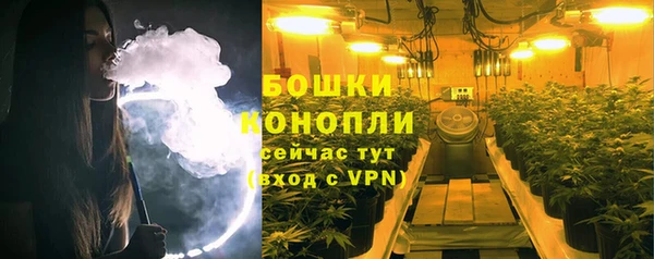 apvp Каменка