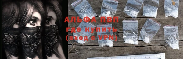 СК Каменногорск